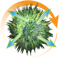 Join Us Biotherapeutics Lab