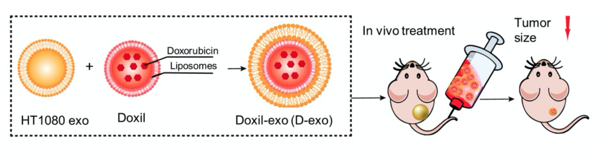 Screen Shot 2020-09-18 at 12.04.25