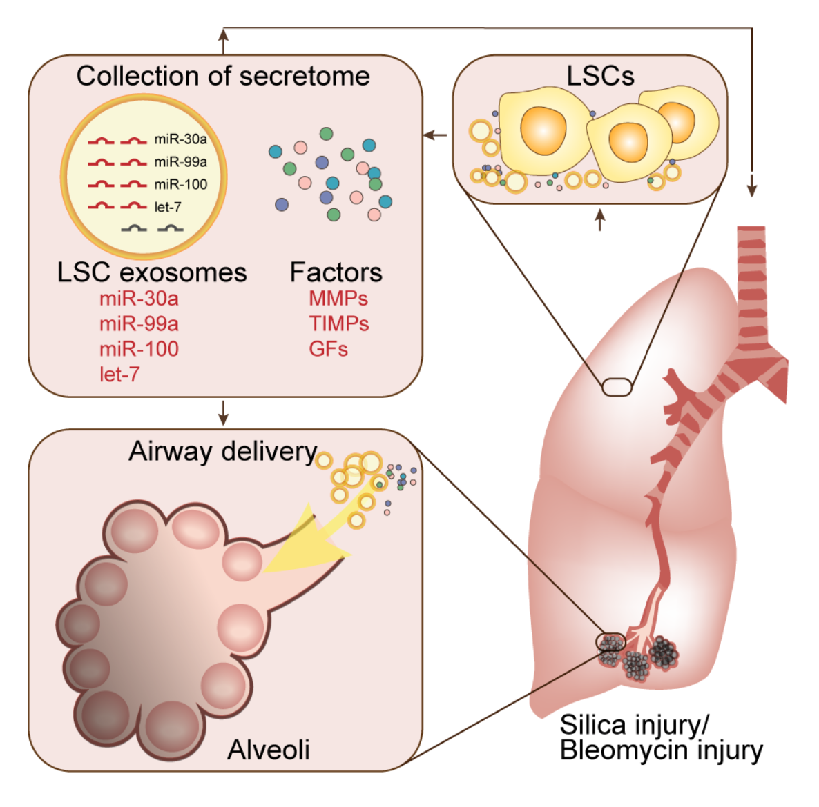 Screen Shot 2020-09-18 at 16.22.13