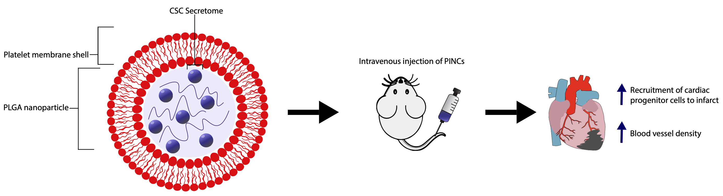 Screen Shot 2020-09-18 at 16.43.04