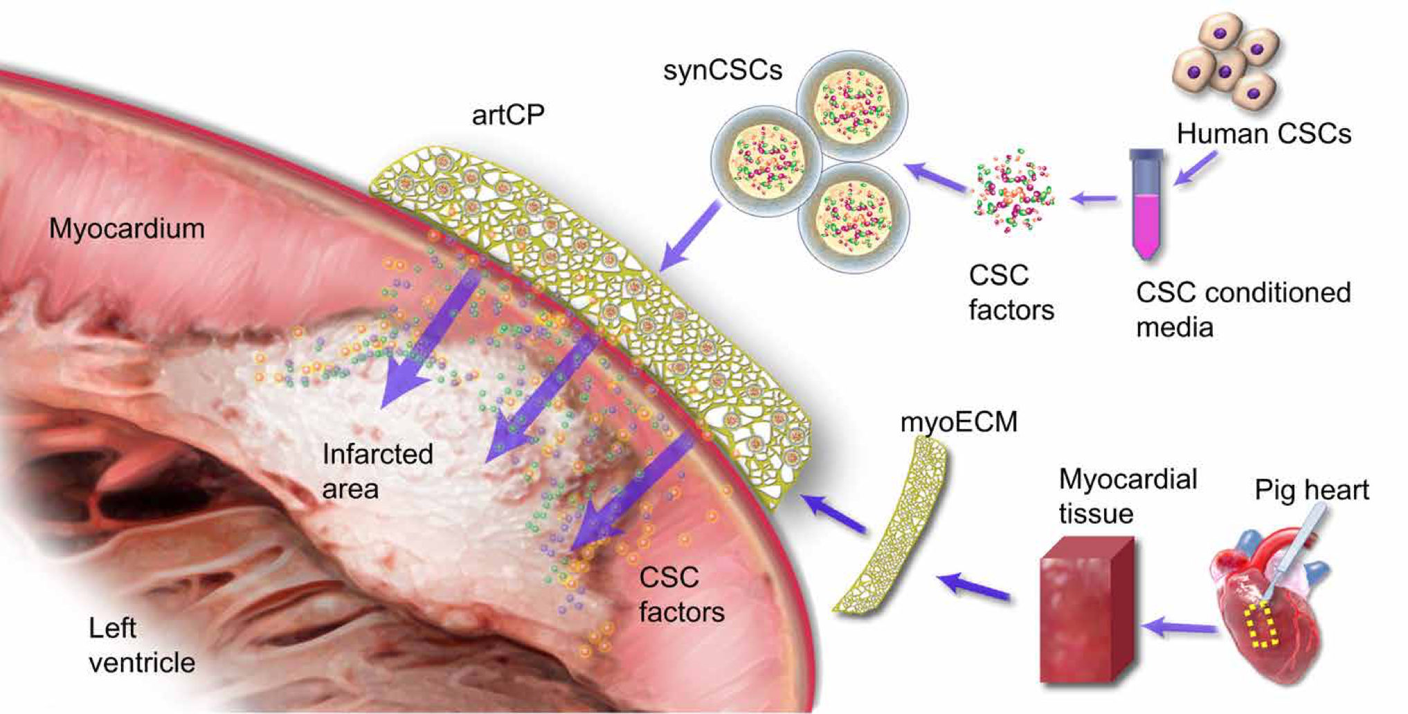 Screen Shot 2020-09-18 at 17.11.21