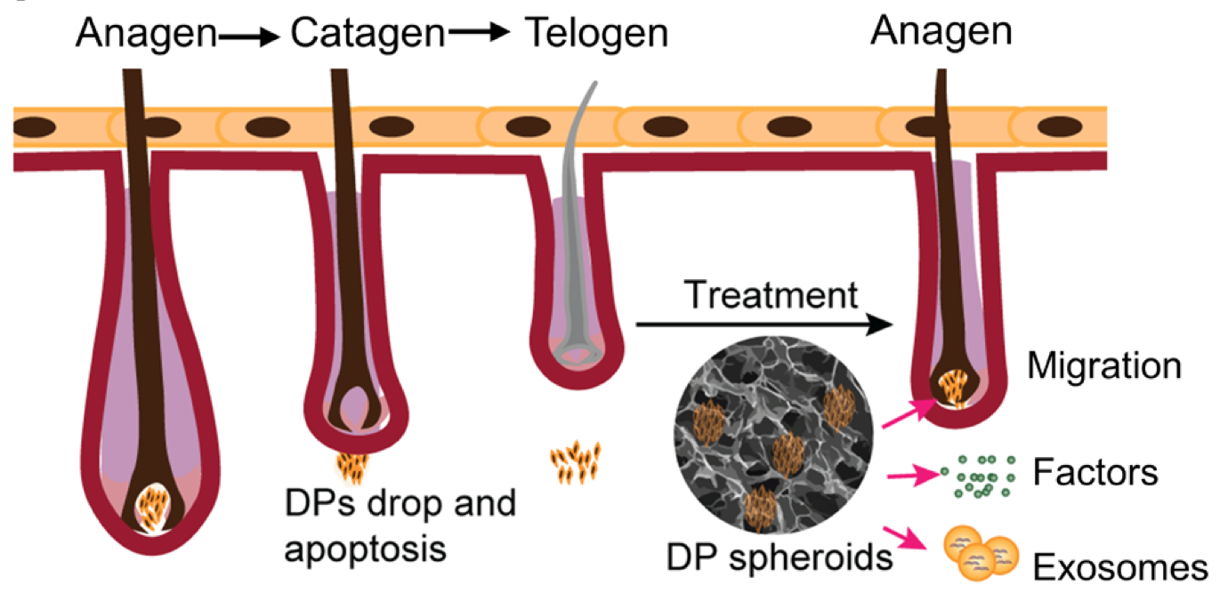 Screen Shot 2020-09-18 at 17.54.04