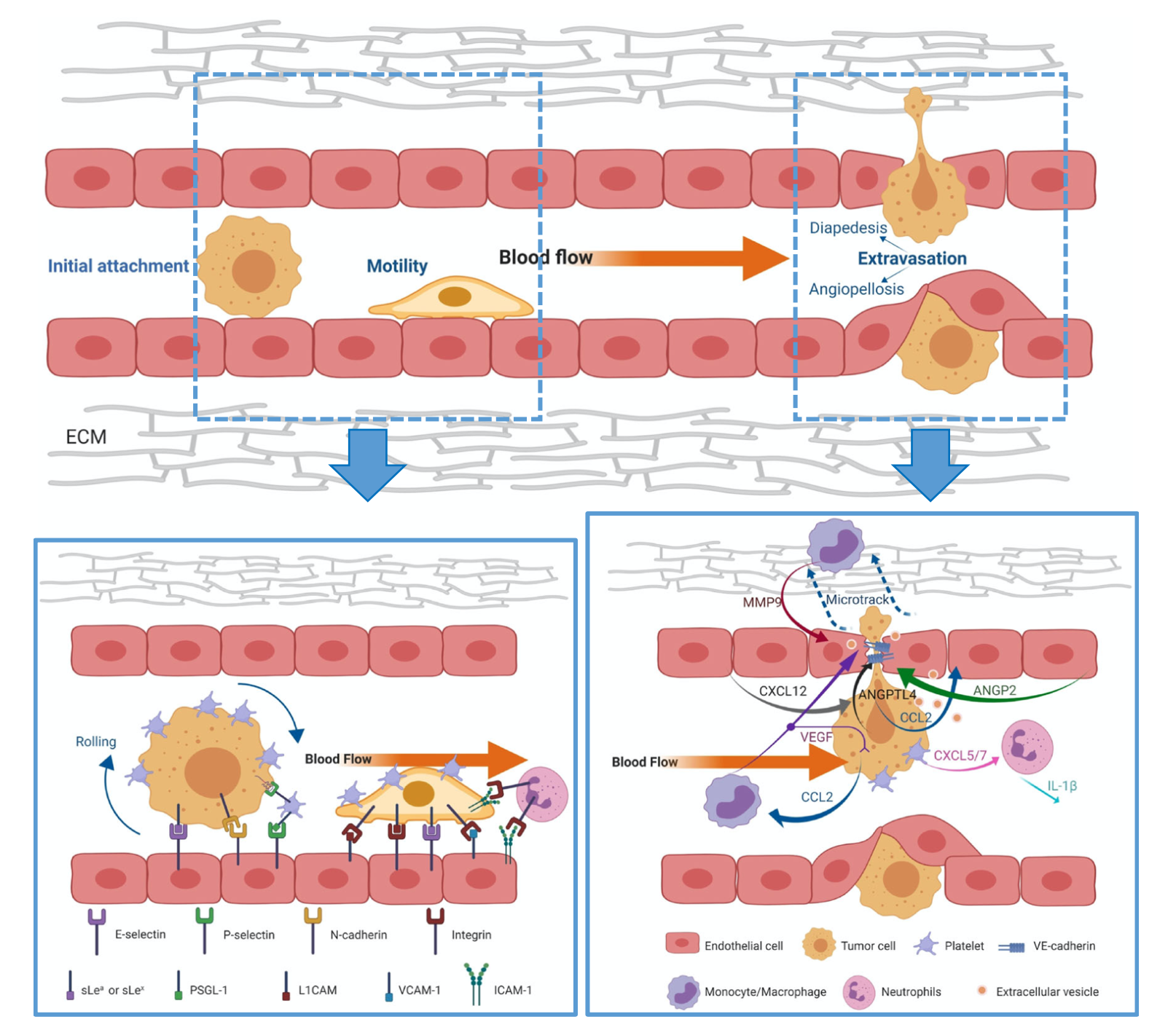 Screen Shot 2020-11-07 at 17.20.32