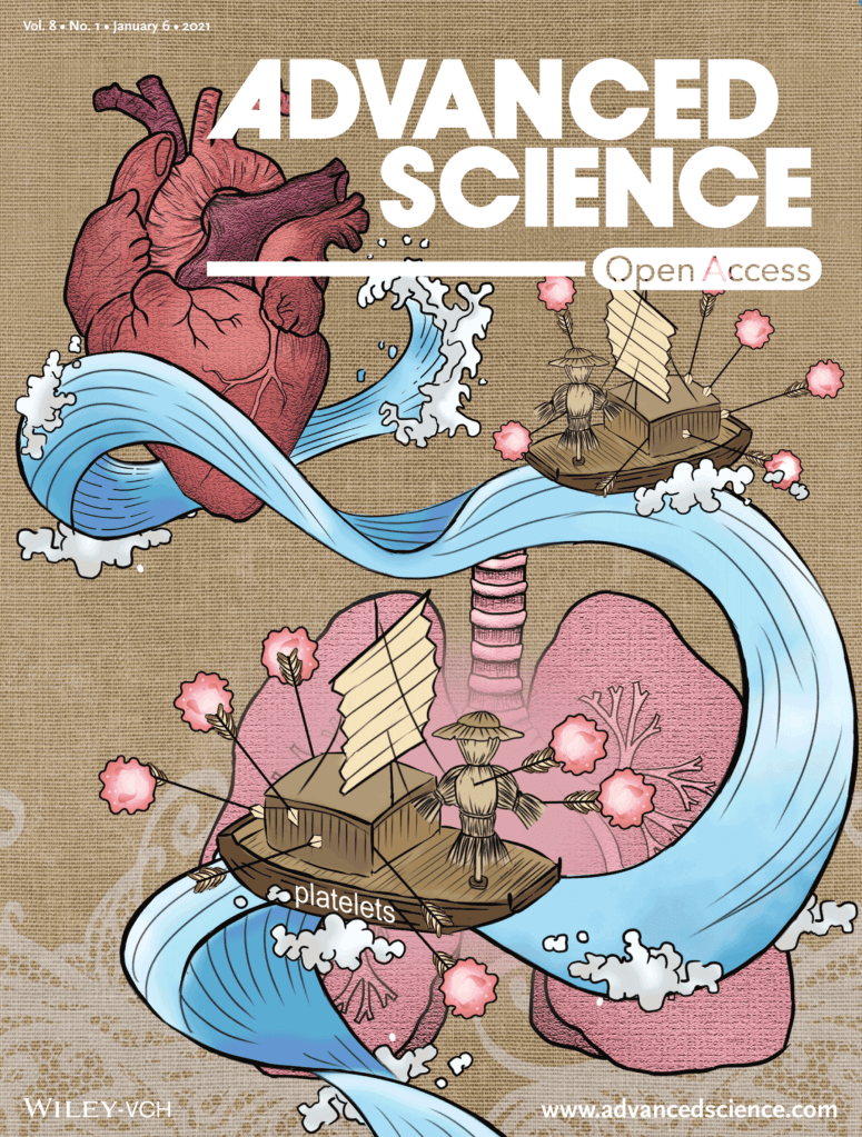 Screen Shot 2021-01-16 at 10.53.37 AM