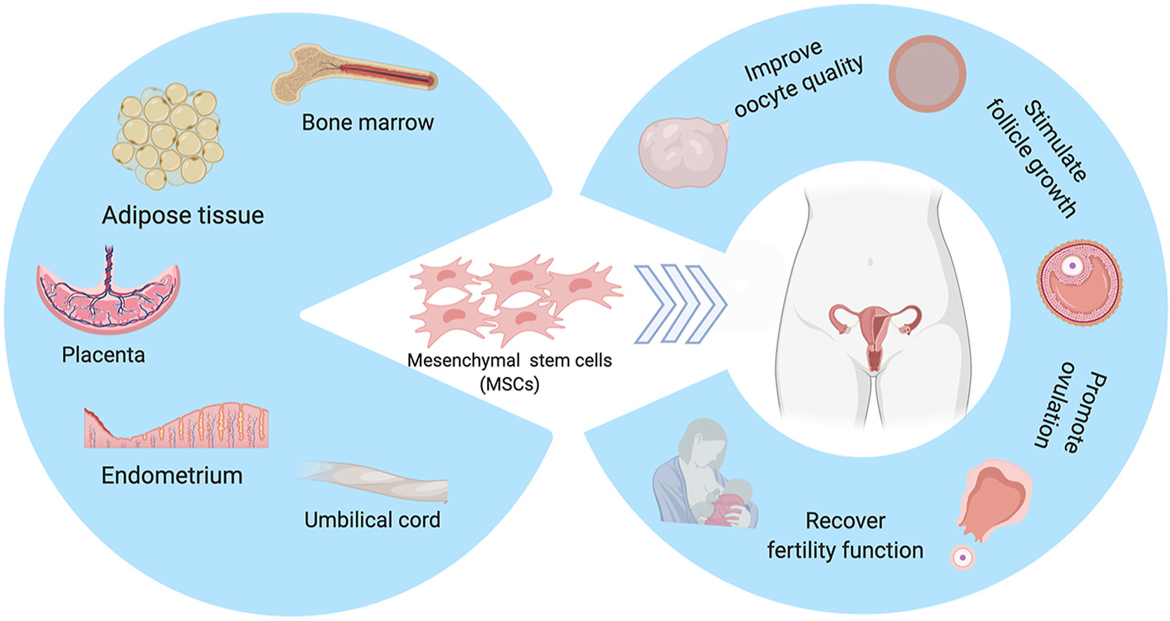 1-s2.0-S2452199X20303339-fx1_lrg