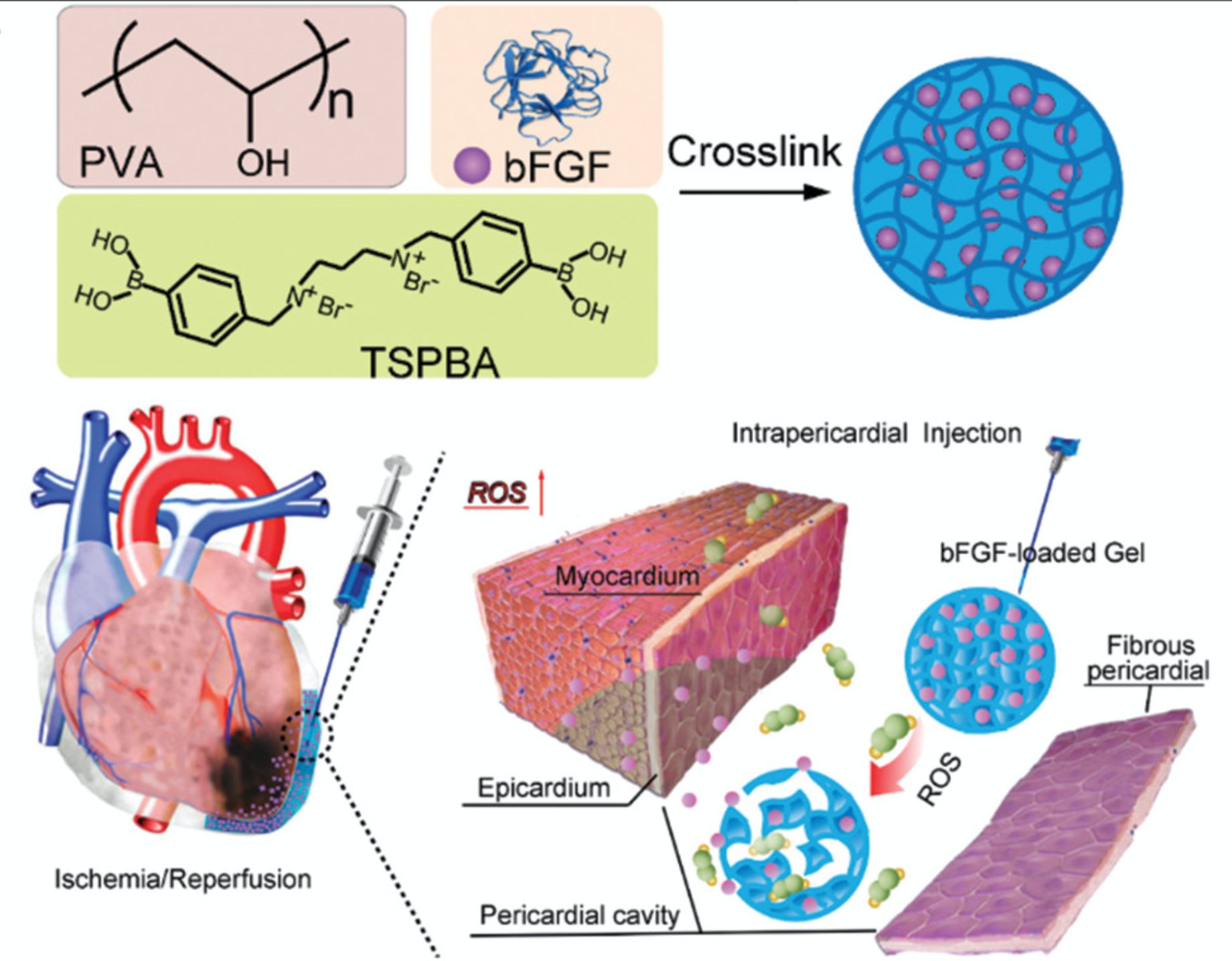 Screen Shot 2021-02-06 at 16.30.40