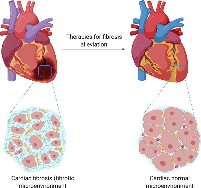 1-s2.0-S0169409X21001009-ga1_lrg