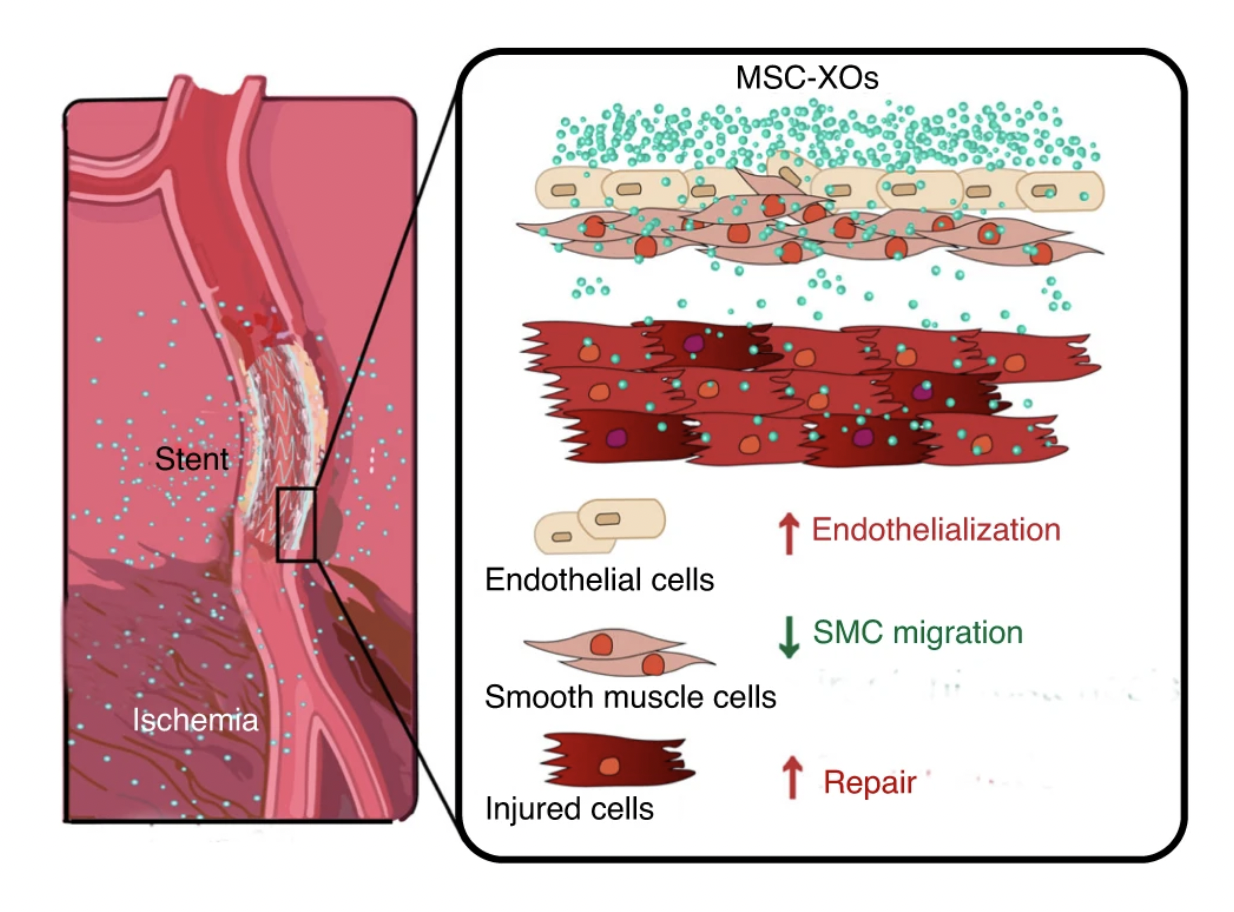 screen-shot-2021-04-05-at-18.15.21