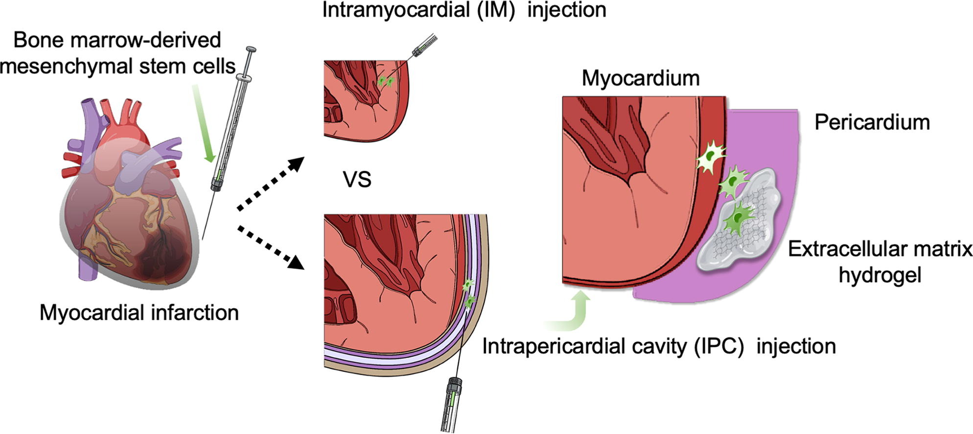 1-s2.0-S1385894721031624-ga1_lrg