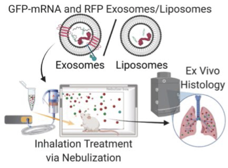 Screen Shot 2022-07-06 at 15.11.00