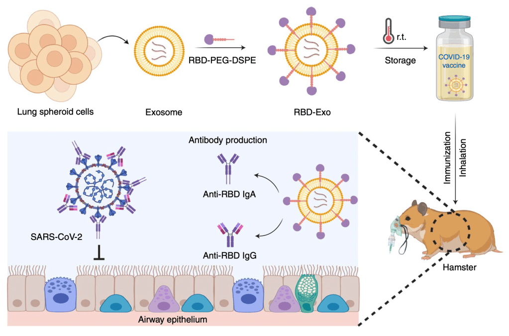 Screen Shot 2022-07-06 at 15.23.57