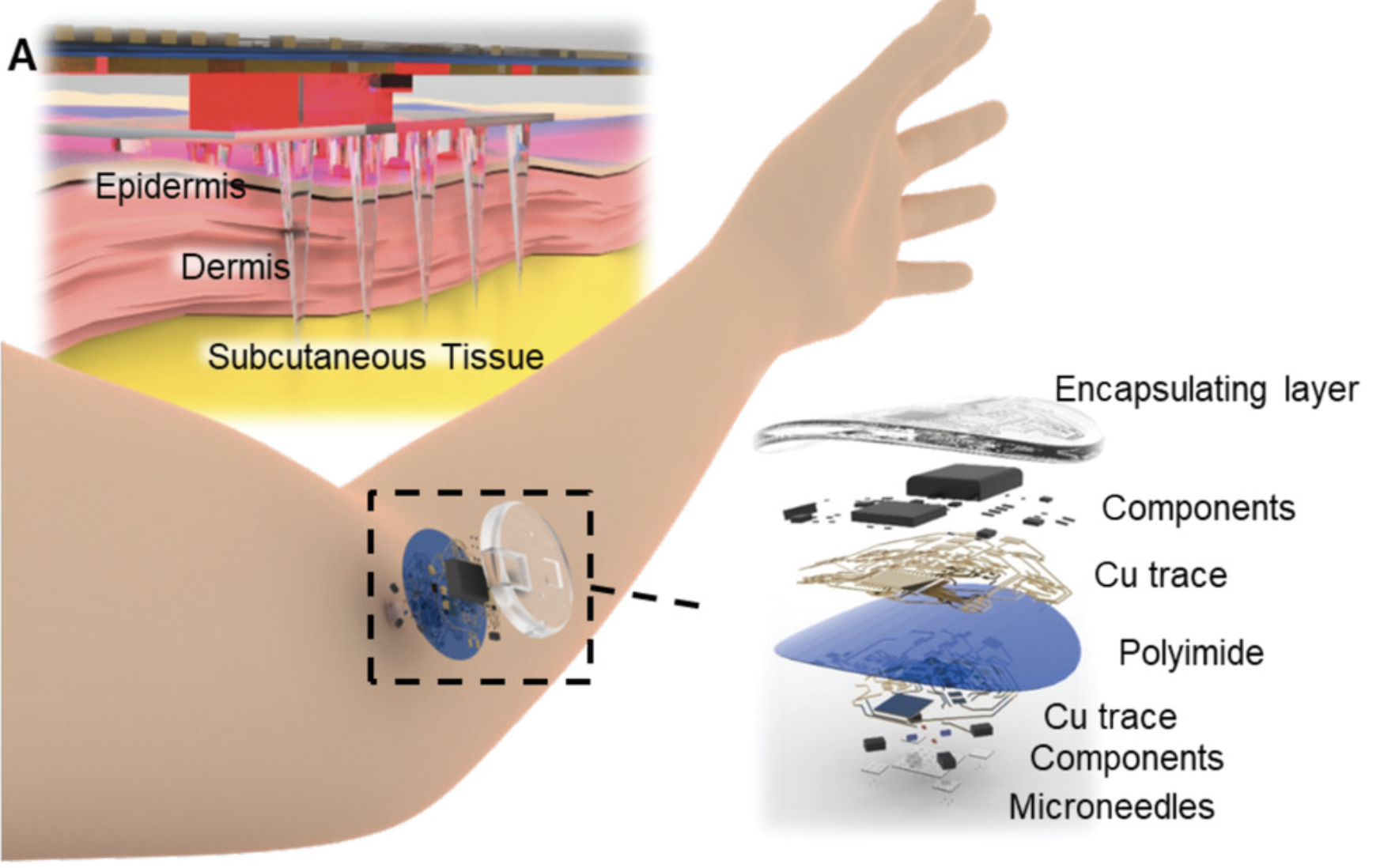 Screen Shot 2023-08-21 at 15.17.30