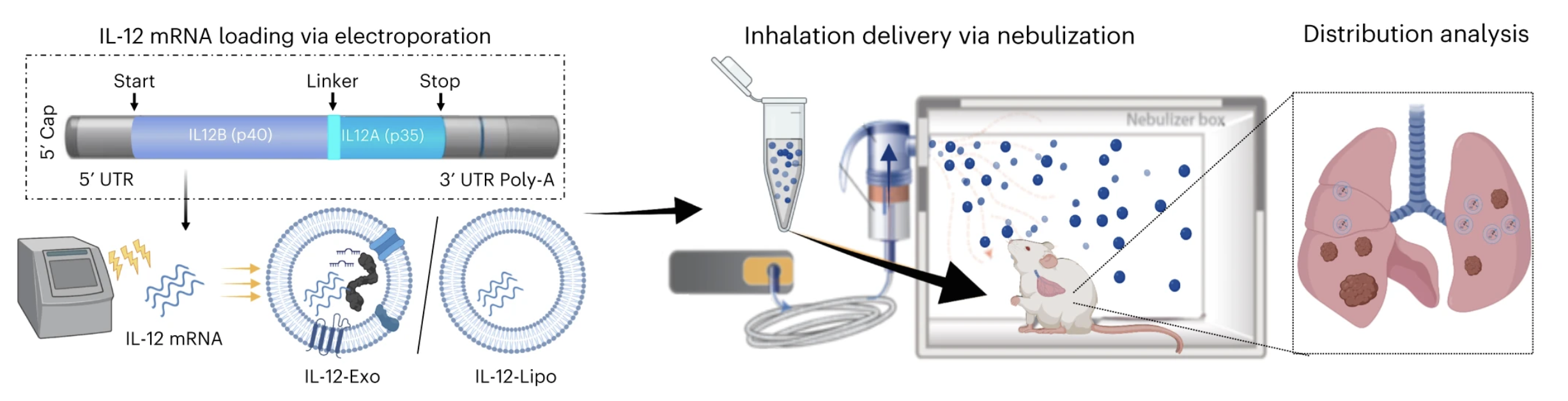 Screen Shot 2024-01-18 at 14.55.06