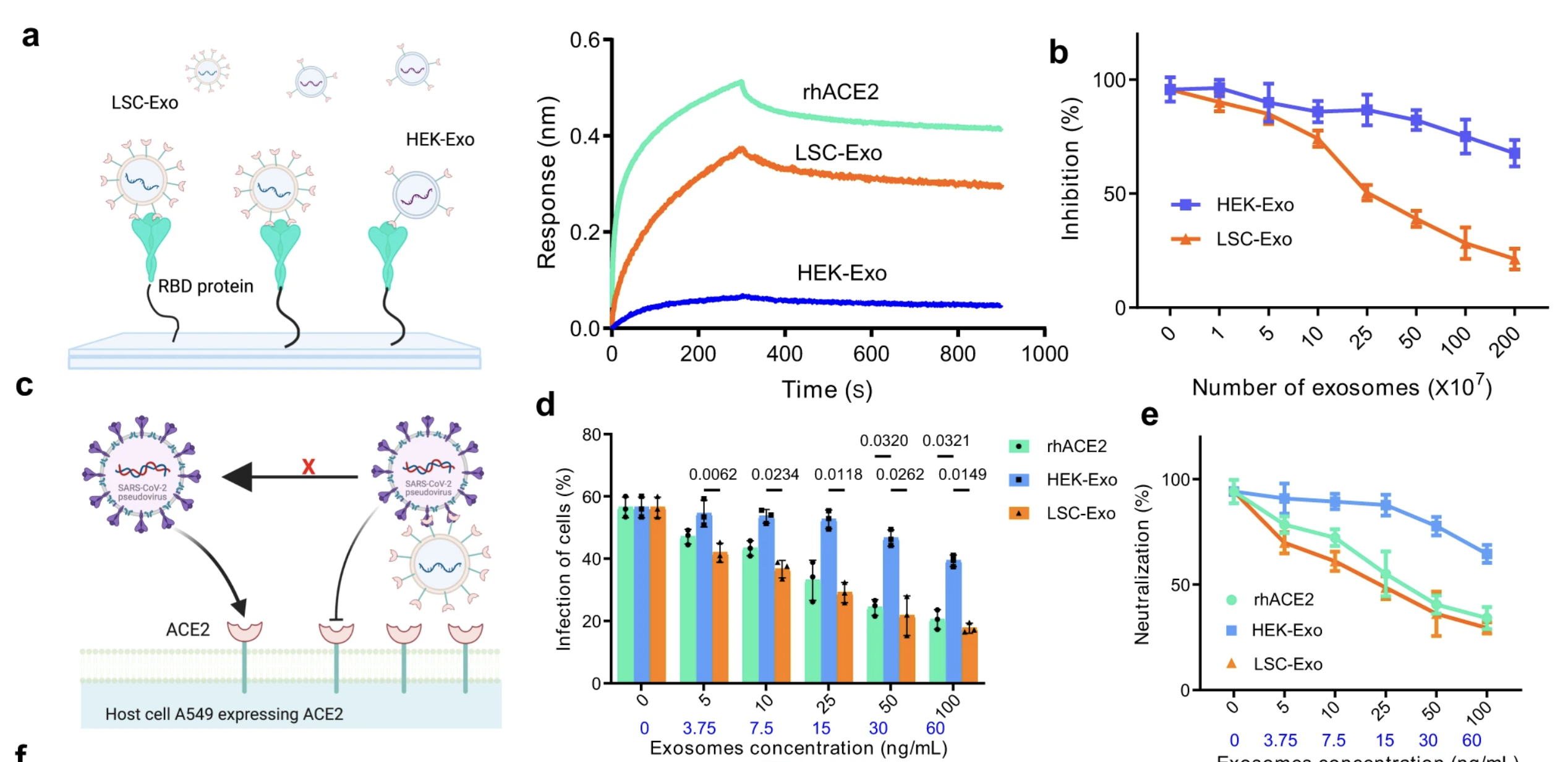 Screen Shot 2024-03-13 at 11.23.52