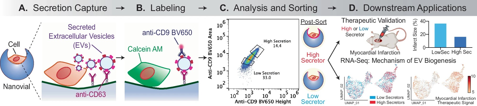 Publications – BioTherapeutics Lab