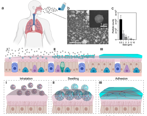 Screen Shot 2024-11-16 at 9.57.23 AM